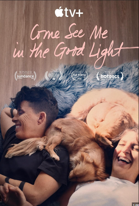 Come See Me in the Good Light (2025)