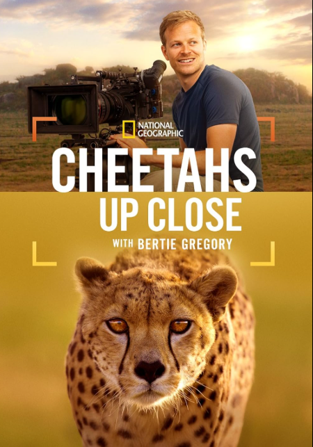 Γατόπαρδοι από Κοντά με τον Μπέρτι Γκρέγκορι / Cheetahs Up Close with Bertie Gregory (2026)